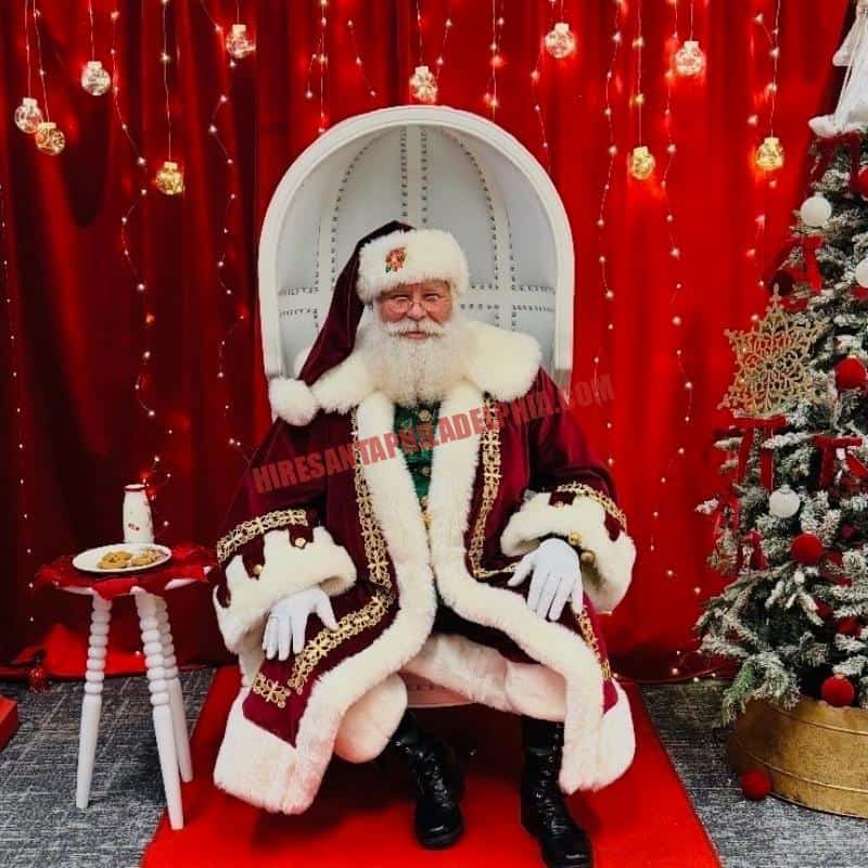 Santa for hire on the Main Line, PA seated with cookies and milk beside a tree.